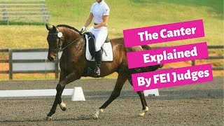 The Canter In Dressage Explained By FEI Judges Cesar Torrente and Bernard Maurel