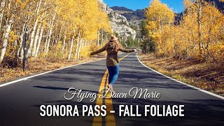 VLOG 219: Sonora Pass Fall Colors \u0026 Favorite Stops (High Sierra Road Trip)