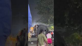 കുറ്റനാട് ആന ഇടഞ്ഞപ്പോൾ #eliphent attack in kuttanadnerch #sad#trending #shortsfeedviral