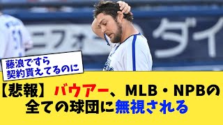 【悲報】バウアー、MLB・NPBの全ての球団に無視される【なんJ プロ野球反応集】【2chスレ】【5chスレ】