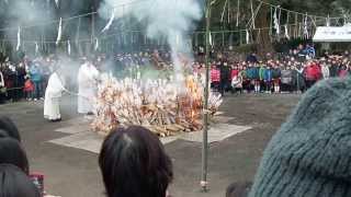 20140115　杉並区　大宮八幡宮　どんと焼き