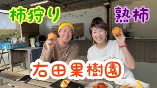 熟柿／右田果樹園／復興【グラサン九州】