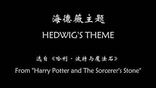 [Matt Wong] HEDWIG'S THEME 海德薇主题 | Clarinet 单簧管