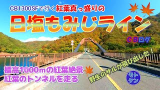 【モトブログ】CB1300SFツーリング、栃木・紅葉真っ盛りの日塩もみじラインツーリング。標高1000ｍの紅葉の絶景高原道路を走る。紅葉のトンネルを駆け抜ける。