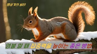 염불 할 때 집중력을 높이는 좋은 방법