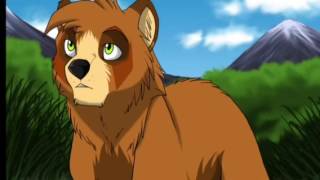 Meet The Seekers Bears: Kallik, Lusa, Ujurak, and Toklo!