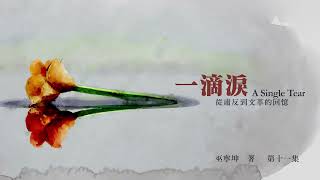 第11集 有声书《 一滴泪 -从肃反到文革的回忆》 原著：巫宁坤   #纪实文学#肃反#反右#文革