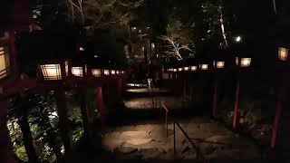 【京都の日常】夜の貴船神社の灯篭階段を下って下から眺めてみた！