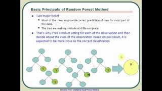 What is Random Forest Algorithm? A graphical tutorial on how Random Forest algorithm works?