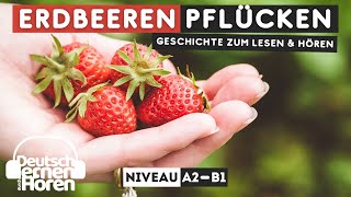 #360 Geschichte zum Lesen \u0026 Hören || Thema: Erdbeeren pflücken| Deutsch lernen durch Hören | A2 - B1