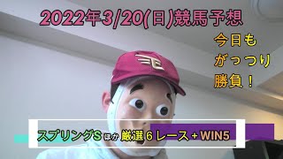 2022/3/20日曜競馬予想😊スプリングSほかbyMr.おじさん