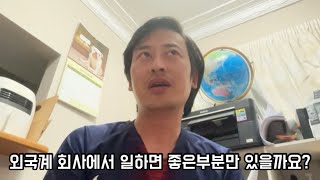 뉴질랜드 외국계 회사에서 일하면서 느낀점, 한국사람들만의 특별한 능력(?), 좋은점 그리고 그렇지 않은점까지..