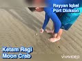 Vid #3 Cara tangkap Ketam Ragi Moon Crab Port Dickson