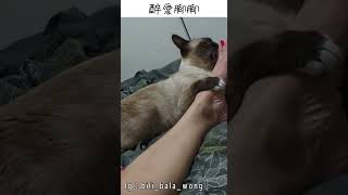 -BiliBala Daily- 醉愛腳腳