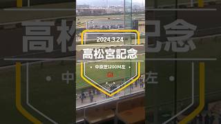 【高松宮記念2024】上位5頭予想！春のスプリント王決定戦。今年は騎手が揃ったので、大波乱は無い……のかどうか。混戦の大一番！