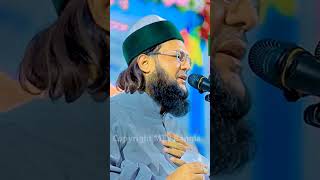 প্রকৃত আহলে সুন্নাতোল জামাত কে বা কারা?Dr Anayetullah Abbasi #mtv_bangla