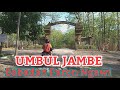 Jalan Ke Wisata UMBUL JAMBE || ALAS JAMBE BABADAN PARON NGAWI