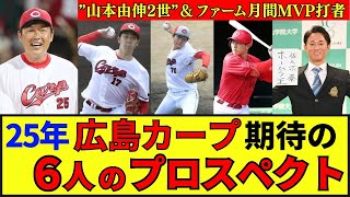 【広島】25年ネクストブレイク候補！ 期待の”由伸2世”＆22年23年ドラ1組！全国大学選手権MVP獲得で得点力の強化なるか！#プロ野球 #野球#プロスペクト