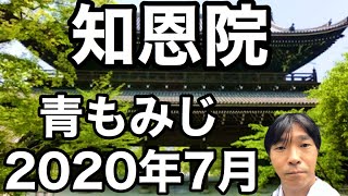 【京都】京都旅行　知恩院「親鸞聖人を訪ねて」2020年7月　見どころ案内 (ガイド付き)