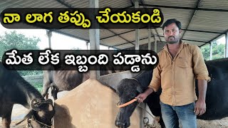 అన్ని కొంటె ఆదాయం మిగులదు|aaradya dairy farm|mallesh adla|