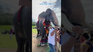 ഒരു ആനക്കഥ/An Elephant Story