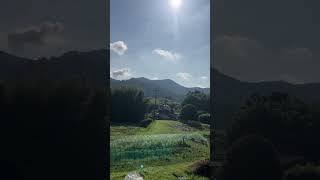 里山の風景 7月   2023