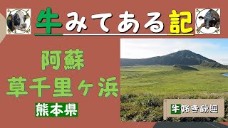 阿蘇・草千里ヶ浜（熊本県）「牛のいる風景みてある記」編　by うしきよチャンネル