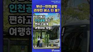 🚎부산에서 인천공항 리무진 버스여행 (부산역/서면/동래 출발 다양한 프리미엄 서비스 누리며 내 집 근처에서 편하게 환승없이 인천공항까지 여행해요)