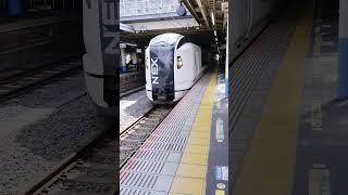 スモークバリバリの成田エクスプレスE259系到着シーン #jr東日本 #ジョイント音 #大船駅