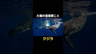 海洋生物一の美声クジラ！ #動物 #雑学  #クジラ