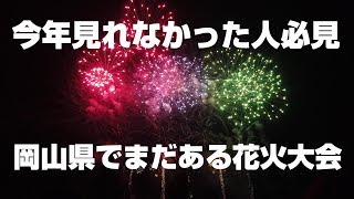 ドイツの森ミュージック花火大会ならまだ見れます