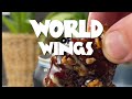 Guinness Glazed wings | world of wings ep 1 | #wings #comedyvids #cookingathome