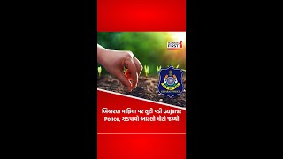 જગતના તાતની વ્હારે આવી Gujarat Police, નકલી બિયારણ મામલે Gujarat Policeની સૌથી મોટી ઝૂંબેશ