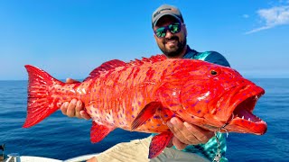 We Caught the Most Beautiful and Delicious Fish of the Seas!!