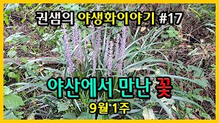 권샘의 야생화 이야기 #17 [야산에서 만난 꽃]