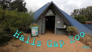 Halls Gap Zoo