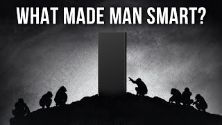 What is it That Made Homo Sapiens So Intelligent?