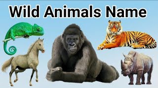 Wild Animals | wild Animals name | जंगली जानवर  @aajadkidseducationalvideo