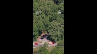 Two hit by tree at Greenville County park
