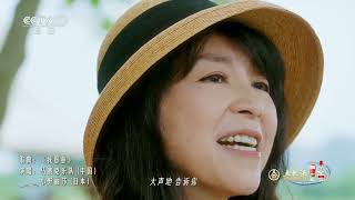 [美美与共 和美之歌]歌曲《我愿意》 演唱：马赛克乐队 小野丽莎|CCTV