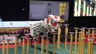 Vietnam Tian Eng - 2016 World Lion Dance Championships - Preliminary Day 1