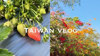 【台湾で暮らす】癒しの日帰り旅行｜いちご狩りと温泉｜日常vlog