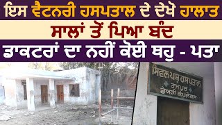 Ludhiana का ये Veterinary Hospital सालों से पड़ा बंद,Doctors गुम,देखें Ground Report