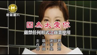 謝宜君-因為太愛你【KTV導唱字幕】1080p HD