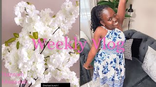 Weekly Vlog: Days in my life // Cooking // Growth // Sunday Funk Motivation