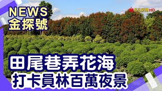 中台灣經典小鎮這樣玩 | 董家花園 生源仙人掌 田尾波波草 台灣銘園庭園美術館 菁芳園 雲河星空景觀餐廳