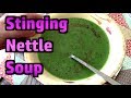 Stinging Nettle Soup - Delicious! - Foraging Tips And Recipe