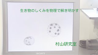 村山研究室・東京農工大学 工学部 生体医用システム工学科