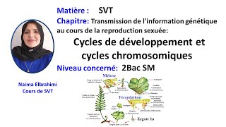 Cours SVT 2Bac Biof :Transmission de l'information génétique - Cycle de développement/ chromosomique