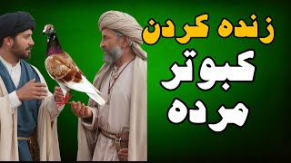 داستان جالب به نقل از آیت الله انصاری همدانی زنده کردن پرنده مرده